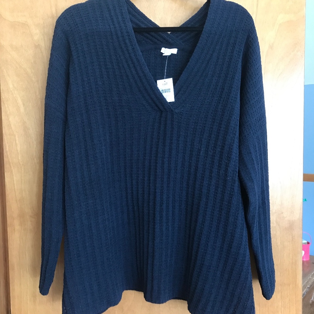J.Jill  chenille sweater XL